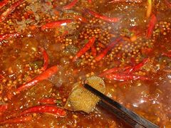 -蜀辣居鲜货老火锅(红牌楼店)