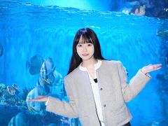 -海合安成都极地海洋公园