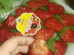 -blt精品超市(高德置地冬广场店)