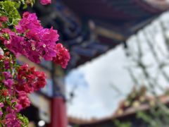 -皇罗禅寺