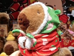 -酷乐潮玩(颛桥万达店)