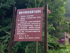 -牛背梁国家森林公园