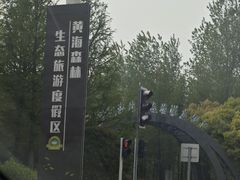 -黄海国家森林公园