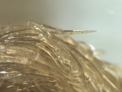 -福1015(愚园路店)