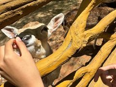 -鄂尔多斯野生动物园