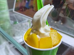-Salud撒露欧洲冻酸奶(北苑上品店)