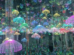 -深圳独角兽星空艺术馆