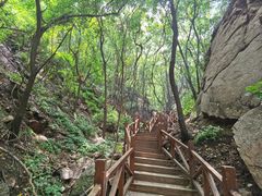 -大岭沟猕猴桃谷风景区