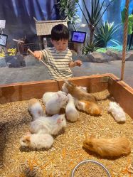 -酷嗒动物文化乐园(cutezoo西溪乐天城店)