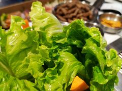 -山野的朋友露营炭火烤肉