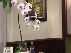 -子霖南山鲜虾面(南山总店)