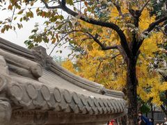 -北京石刻艺术博物馆(五塔寺)