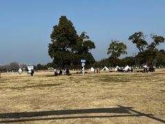 -苏州太湖国家湿地公园