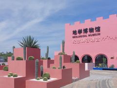 -漳州滨海火山岛自然生态风景区