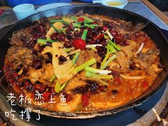 老板恋上鱼-老板恋上鱼(恒隆广场店)