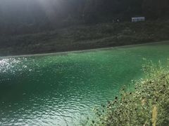 -武陵山森林公园