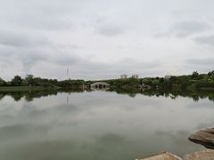 -大港湿地公园