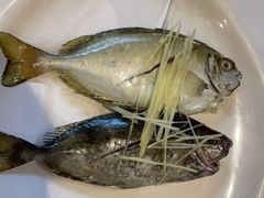-青蓬蒸汽海鲜·深圳老字号·团建聚会(壹方城店)