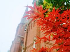 -徐家汇天主堂