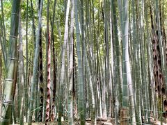 -同里国家湿地公园