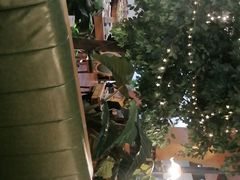 -青柠记忆泰式海鲜火锅(合生汇购物中心店)