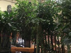 -天发长铁锅炖(王秀村店)