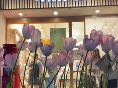 -猫的天空之城概念书店(大学路店)