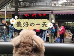 -永兴烧腊