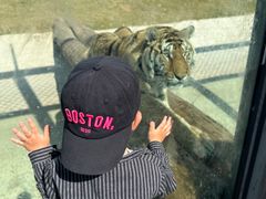 -西霞口神雕山野生动物世界