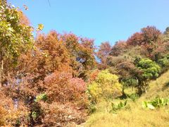 -广州市石门国家森林公园
