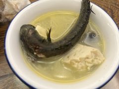 龙胆斑炖豆腐-浔埔人海鲜楼