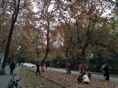 -四川大学(望江校区)
