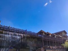 -呀路古热带植物园