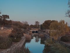 -羊山湖公园