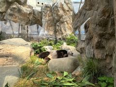 -香港海洋公园
