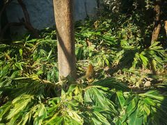 -灵玲国际马戏城