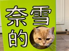 -奈雪的茶(金凤万达PRO店)