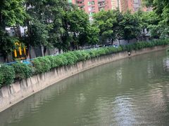 -探窝·竹笙椰子鸡(杨箕店)