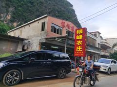 -银峰农庄·特色烧鸡·鲜无花果浸鸡