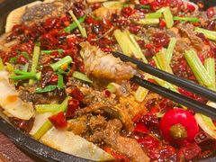 -老板恋上鱼(振华商厦店)