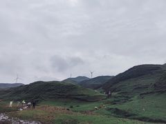 -乌蒙大草原