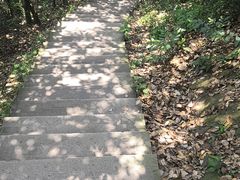 -浙江大学(玉泉校区)