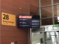 -谢列梅捷沃国际机场