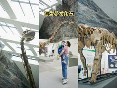 -中华赏石园