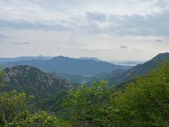 -大岭沟猕猴桃谷风景区