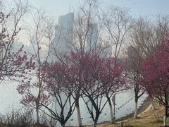 -天鹅湖体育公园