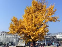 -北京植物园-展览温室