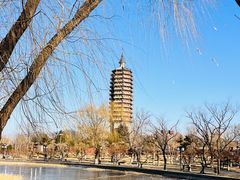-西海子公园