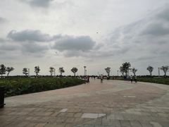 -滆湖低碳生态公园
