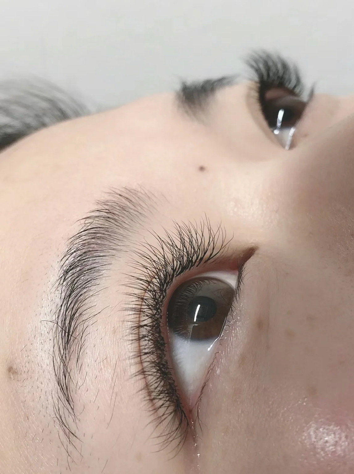 经典yy睫毛